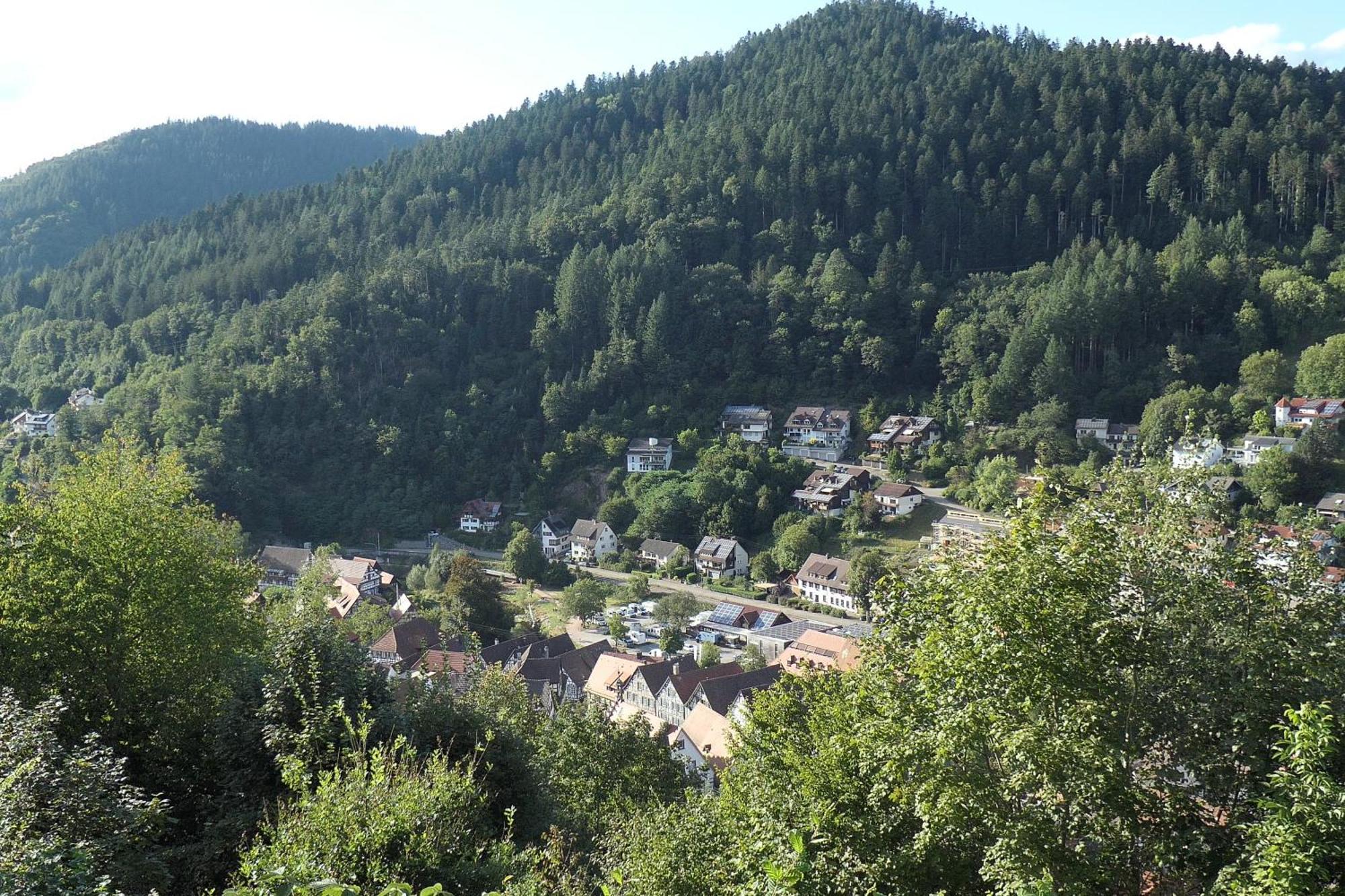 Apartament Am Sonnenberg Schiltach Zewnętrze zdjęcie